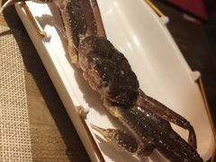 -蟹将军·松叶蟹和牛日料放题自助(K11店)