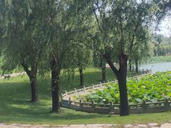 -南戴河国际娱乐中心