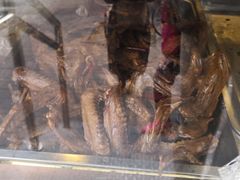 -老回回饺子馆(海洋馆店)