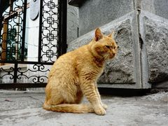 -鼓浪屿风景名胜区-英国领事馆旧址