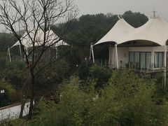 -帐篷客·溪龙茶谷度假酒店