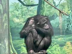 -宁波野生动物园