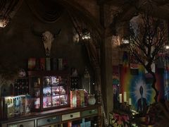 -雪灵魔法世界SHELLY’S TAROT(大良桂畔里店)