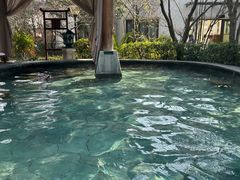 -苏州湾·王焰温泉