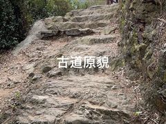 -羚羊峡古栈道森林公园