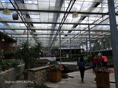 -上海多利农业发展有限公司