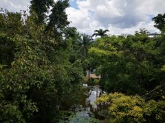 -中国科学院西双版纳热带植物园