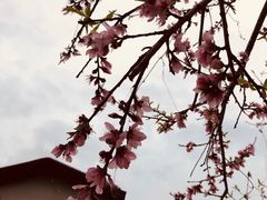 -永泰中国云顶