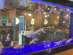 -合合大冷面(湖南店)