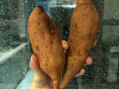 -Olé精品超市(上海虹桥南丰城店)
