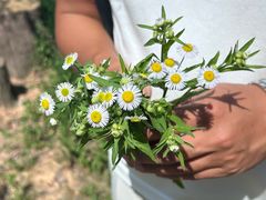 -天怡·鱼工厂(梅溪湖店)