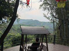 -广州市帽峰山景区