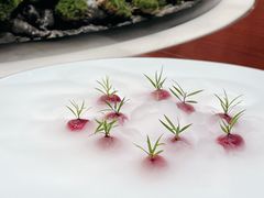 -青岛天瑞星空酒店