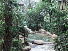 -天目湖涵田半山温泉