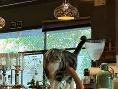 -咖法森林·咖啡  酒吧(天河店)