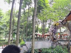 -二荆条·蜀鲜汇城市森林火锅