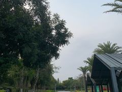 -厦门园林博览苑