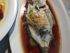 -明仕田园酒店