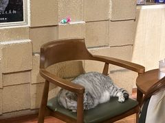 -H立方实景剧情密室(天河旗舰店)