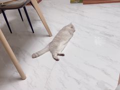 -西单明珠商场