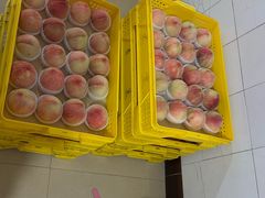 -老袁家蜜桃农场·阳山水蜜桃