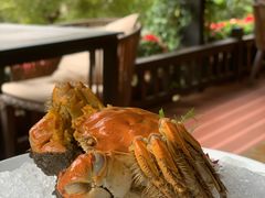 -荷风细雨·中国茶宴(碧云店)