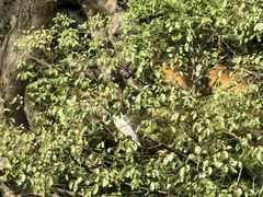 -普陀山风景名胜区-法雨禅寺