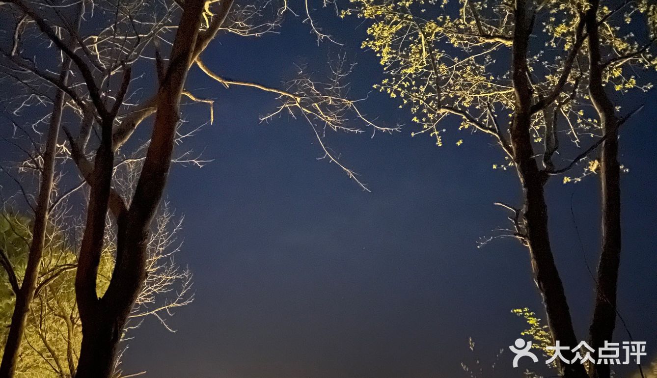 武汉周边露营⛺️
