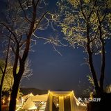 武汉周边露营⛺️