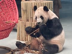 -大青山野生动物园