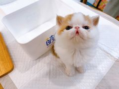 -萌兽医馆·眼科·异宠专科(三里屯店)
