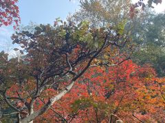 -岳麓山风景名胜区