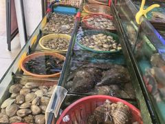 -鑫鸿达·海鲜闽菜热炒小馆(中山路店)
