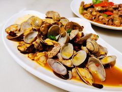 辣炒花蛤-华盛丰温州大排档(东三环南路店)