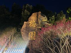 -无锡梅园公园