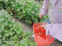 -85度C(上海周浦店)