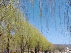 -北京张裕爱斐堡酒庄