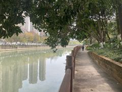 -成都市活水公园