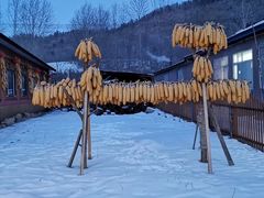 -雪谷