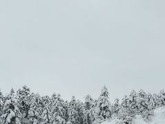 -瓦屋山景区