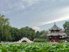 -莲池书院博物馆