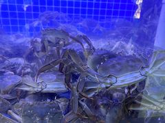 -黄记大闸蟹专卖店·活蟹·醉蟹