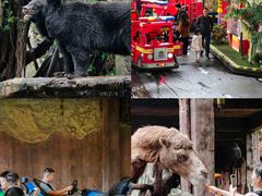 -长鹿旅游休博园