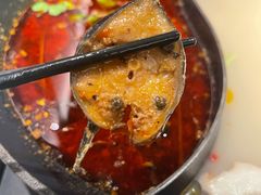 红汤梭边鱼锅-新辣道鱼火锅(西直门店)