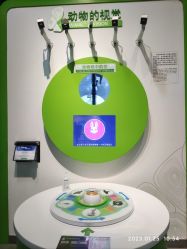 点击看大图 -北京科学中心儿童乐园