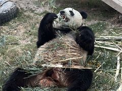 -上海野生动物园