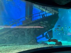 -福州罗源湾海洋世界旅游区