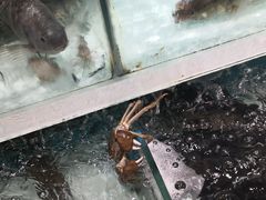 -盒马鲜生(枣园路店)