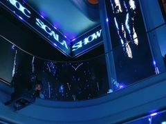 -斯卡拉演艺集团