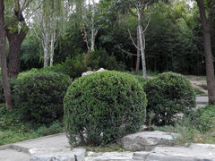 -紫竹院公园冰场